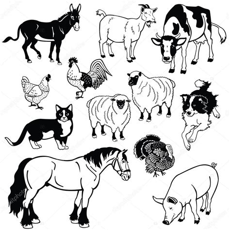 Set with domestic animals black and white images Stock Vector Image by ©insima #12877485