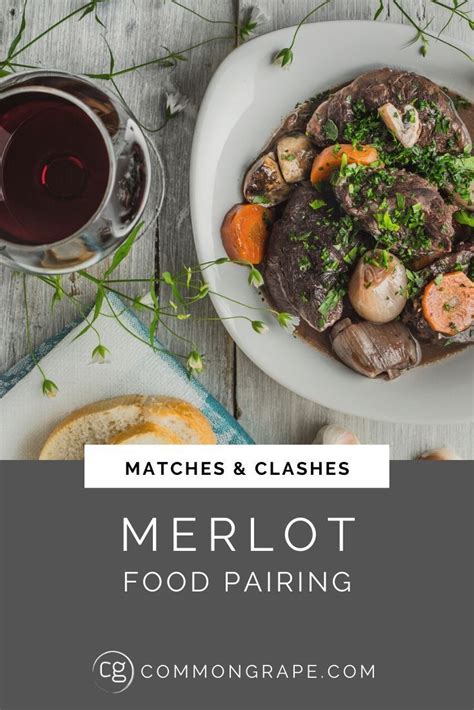 Merlot Food Pairing: Matches & Clashes in 2020 | Food pairings, Beef bourguignon, Wine food pairing
