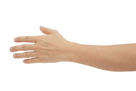 Man hand gesture isolated. 10870471 PNG