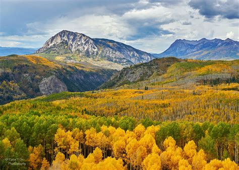 Fall colors over Kebler Pass. Crested Butte, Colorado [OC] (2048 x 1463) : EarthPorn