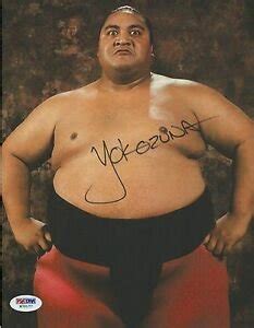 Yokozuna | Wiki | Wrestling Video Game Universe Amino