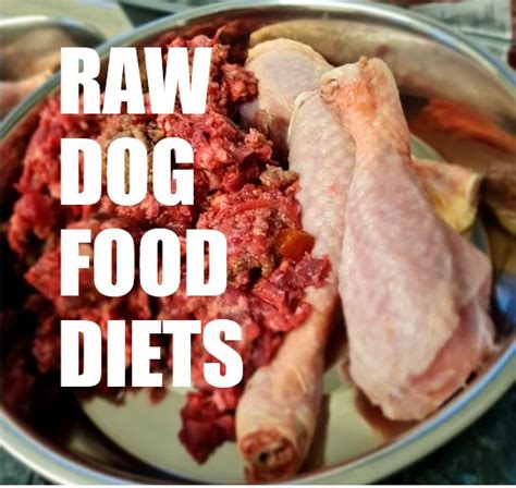 How Expensive Is Raw Dog Food