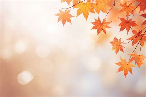 Autumn maple leaves border backgrounds | Premium Photo - rawpixel