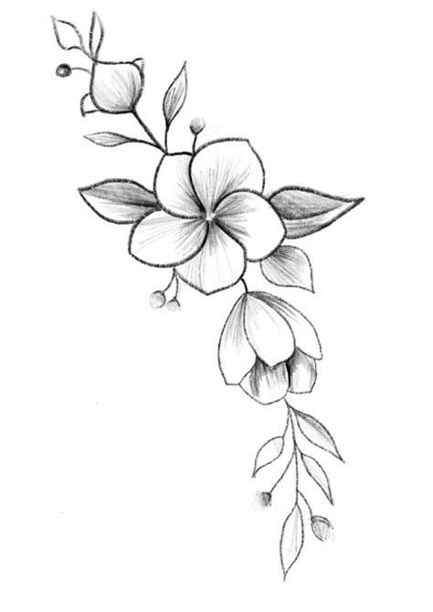 Dibujos Para Calcar Flores - Imagui | Dessin hibiscus, Dessin fleur ...