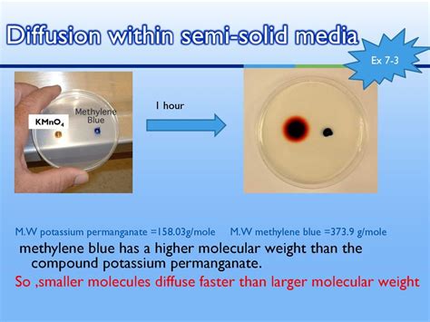 SCB 115 Lab 5 Diffusion and Osmosis - Natural Sciences Open Educational Resources