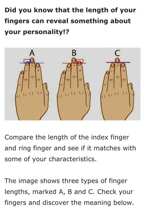 Does Your Finger Length Represent Your Personality? - Musely