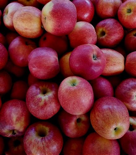 Honeycrisp Apples | Farmer's Row, Eastern Market, Washington… | Mike Licht | Flickr