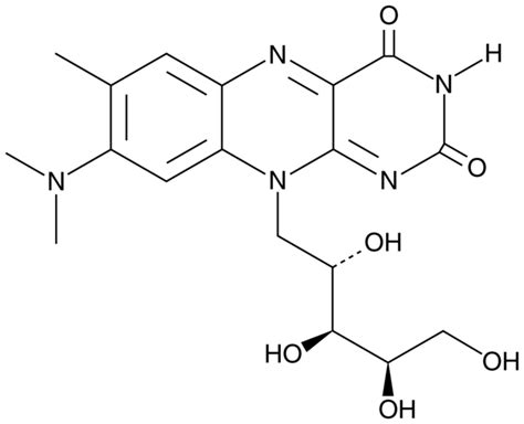 Flavin Mononucleotide