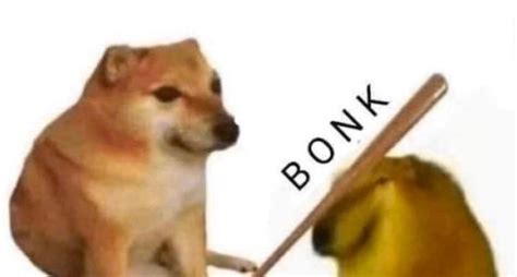 bonk doge meme template : r/MemeTemplatesOfficial