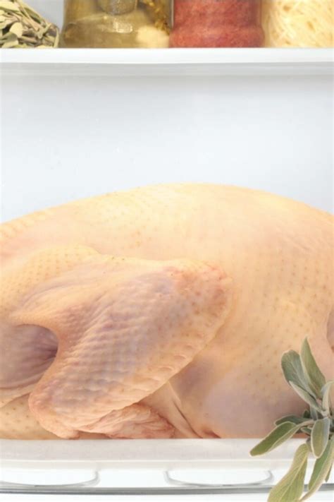 4 Ways To Thaw A Turkey Overnight (From Safest To Fastest!)