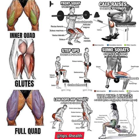 Full Leg Workout! 💪🏼. Crush those legs 🙂🔥🔥 Follow @health._tips _ Credit @schoolofmuscle | Leg ...