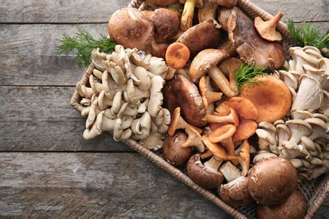 39 Different Types of Edible Mushrooms - Clean Green Simple
