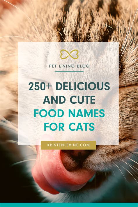 250+ Adorable Food Names for Cats | Pet Living