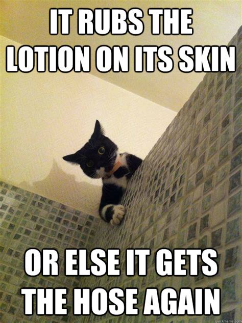 it rubs the lotion on its skin or else it gets the hose again - Incredulous Cat - quickmeme