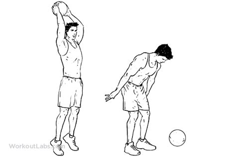 Medicine Ball Slams | WorkoutLabs