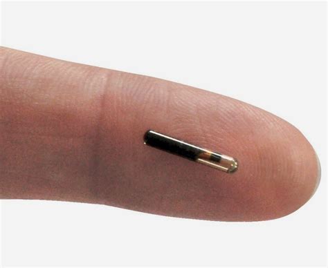 Scientist Believes the Human Microchip Will Become "Not Optional ...