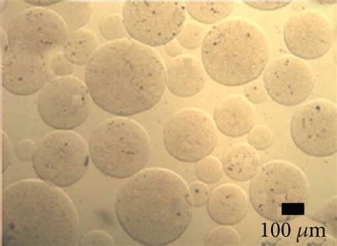 Optical micrographs of alginate microcapsules produced with different ...