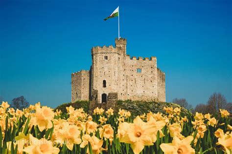 Cardiff Castle - British Castles