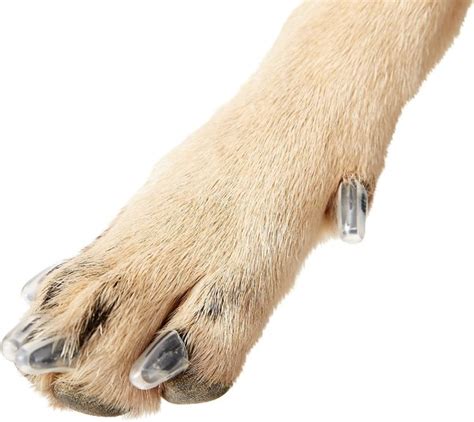 PURRDY PAWS Soft Dog Nail Caps, 20 count, X-Large, Clear - Chewy.com