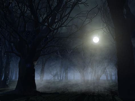 Spooky forest background by indigodeep on DeviantArt