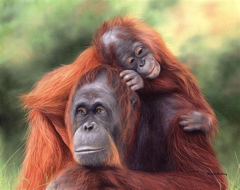 Painting Orangutans Picture Orangutan Painting wildlife Wall Art ...