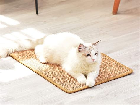 This Cat Scratching Mat Saves Your Carpets Is Actually Attractive