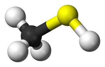 Mercaptan | Steve Walton's