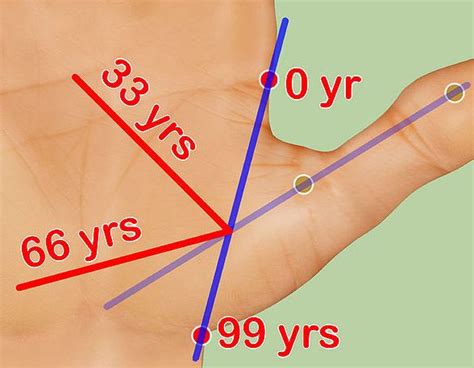 Palm reading example: age calculation for life line. | Palmistry ...