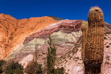 Road Trip Across Argentina's Deserts - 15 Days | kimkim