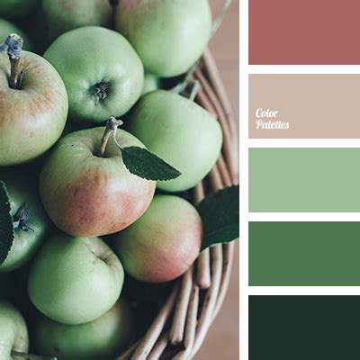 shades of light-green | Color Palette Ideas