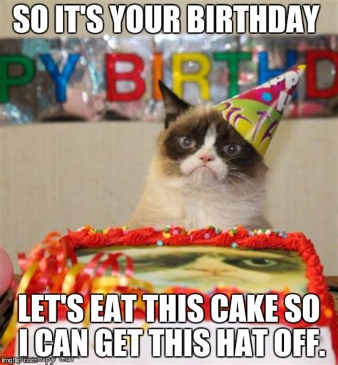 Grumpy Cat Cake - Imgflip