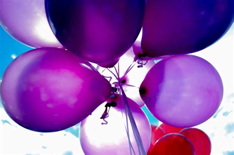 Purple and Red Balloons · Free Stock Photo