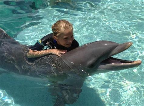 Miami Swim with Dolphins - Odyssey Program (800) 667-5524