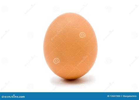 Hens Egg stock photo. Image of dairy, shell, organic - 12657300