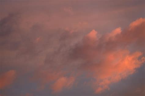 Premium Photo | Cumulus clouds at sunset with orange rays. high quality photo