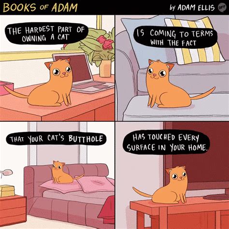 10++ Funny Cat Memes Buzzfeed - Factory Memes