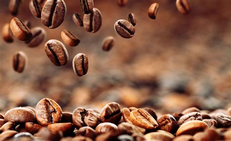 Coffee Beans Background | Gallery Yopriceville - High-Quality Images ...