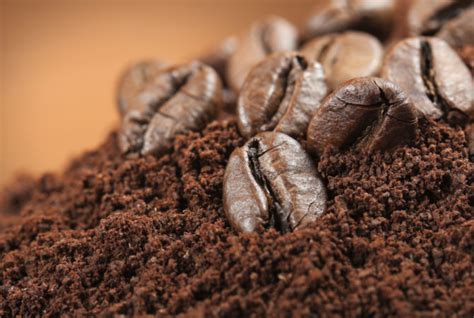 Coffee Grounds Fertilizer Fact Or Myth - Gerden Style