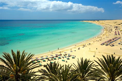 Fuerteventura tips | Holidayguru.nl