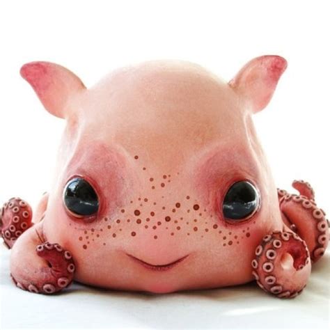 Baby dumbo octopus so real | Fantasy doll, Dumbo octopus, Cute monsters