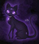 Cat with Purple Eyes by LilaCattis on DeviantArt