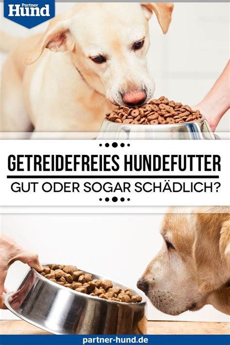 Getreidefreies Hundefutter: Das Angebot wird immer größer. Doch ist es ...