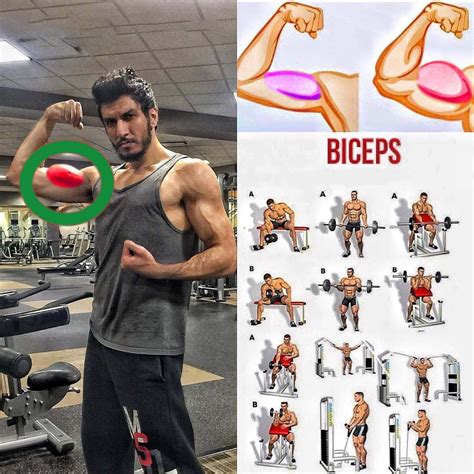 Biceps Workout #Biceps #BicepsExercises #BicepsWorkout | Biceps workout, Biceps exercises ...