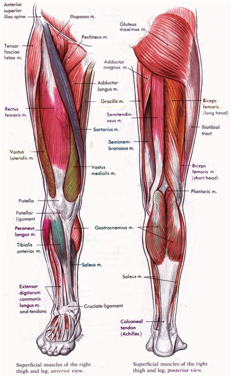 Pilates and Horse Riding | In the Log Cabin