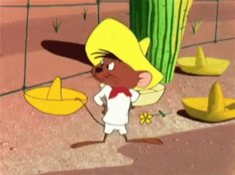 Speedy Gonzales Sombrero GIF - SpeedyGonzales LooneyTunes Happy - Discover & Share GIFs