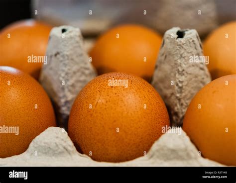 Macro of brown eggs in gray egg carton Stock Photo - Alamy