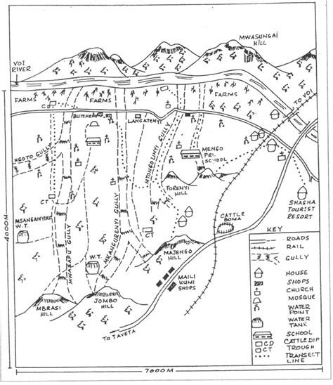 Example of a transect diagram