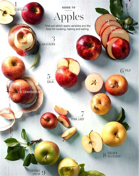 Ingredient Spotlight: Apples | Apple recipes, Best apples for baking ...