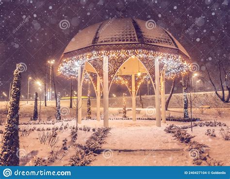 KIEV, UKRAINE: Winter in in the Park of Kiev, Ukraine Editorial Stock ...