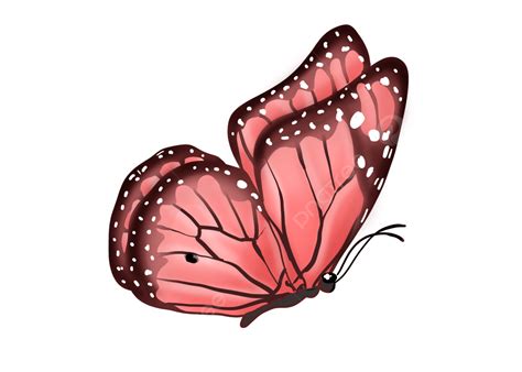 Butterfly Pink Gradient Side Flying Cartoon Insect, Butterfly Clipart ...